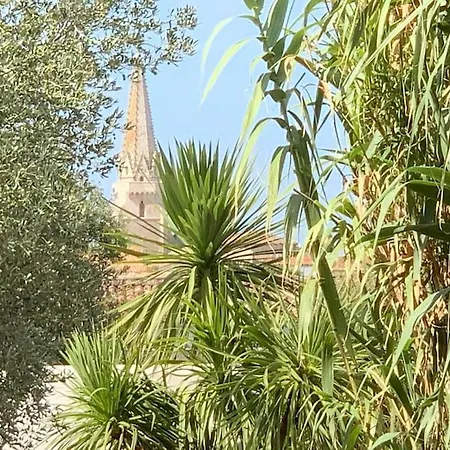 Maison Lumineuse Avec Suite Parentale Et Piscine A Deux Pas De La Plage *