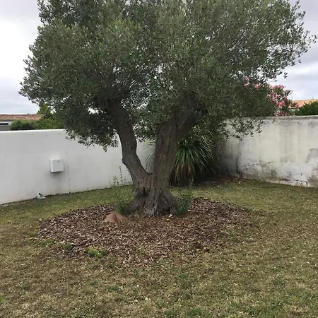 Maison Lumineuse Avec Suite Parentale Et Piscine A Deux Pas De La Plage Villa